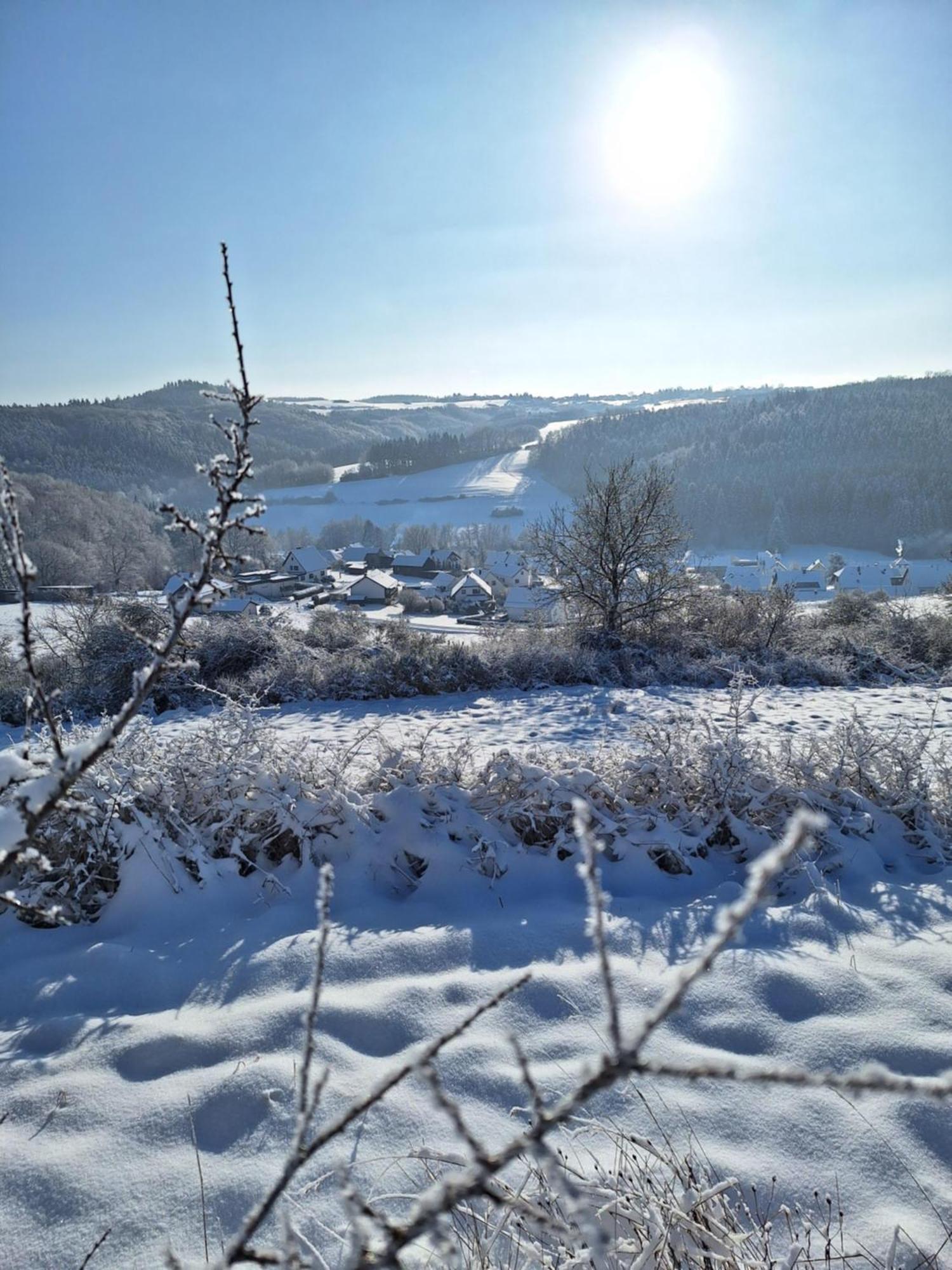 Western Cottage Hocheifel Wirft Εξωτερικό φωτογραφία